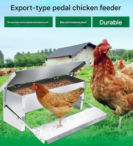 Équipement d'alimentation automatique galvanisé pour volailles d'extérieur, poulets, faisans et canards, pour fermes avicoles - Product Image 1