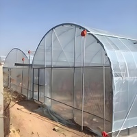 24m Grande maison de culture de plain-pied à une couche Couverture hydroponique stable en PE Banc roulant Serre polytunnel Cadre en acier Toit arqué