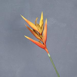 Flores Artificiales de Pluma de Ave del Paraíso Meng Jie, Material Floral de Goma Suave para Decoración de Bodas y Hogar, Estilo Ins - Product Image 4