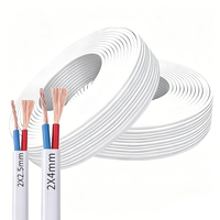Cable de Alimentación RVB Estándar de 2 Núcleos, Rojo y Negro, Cable Paralelo con Cobre Puro Libre de Oxígeno, Cable Doble Paralelo