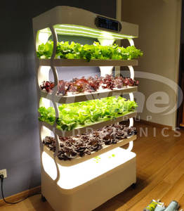 Sistema de Cultivo Hidropónico Inteligente para Interiores con Bomba y PLC para Agricultura Vertical sin Suelo - Product Image 5