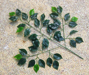 Đám Cưới Trang Trí Nội Thất Nhân Tạo Ficus Lá Bất Cảm Ứng Nhân Tạo Màu Xanh Lá Cây Banyan Nhà Máy Lá - Product Image 6