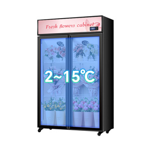 Vitrina Refrigerada Transparente de 2/3 Puertas para Conservación/Exhibición de Flores para Floristería - Gabinete Comercial Sin Drenaje - Product Image 3