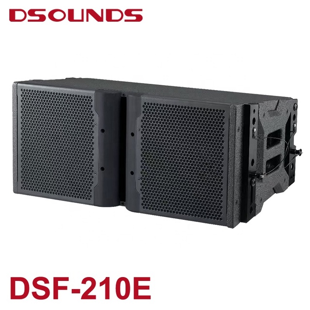 Line Array Speaker of Double 10 Inch LF Driver and Dual HF Driver with NEO Magnet Speaker for Active Digital Sound Equipment