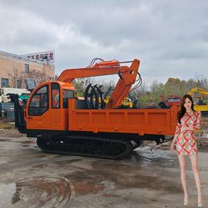 Bon Dumper sur chenilles en caoutchouc 3 tonnes 1 tonne Dumper Carrier Crawler Transport Dump Truck pour Mini - Product Image 5