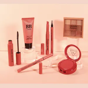 Ensemble de maquillage cosmétique personnalisé, coffret cadeau complet de marque privée, kit de maquillage pour femmes