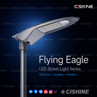 Lampadaire LED extérieur étanche Cishine 30W 60W 80W 90W 120W 150W 180W IP66 en aluminium moulé sous pression pour routes urbaines, parcs et places publiques