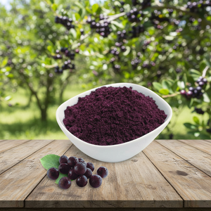 Jugo y Extracto de <span class=keywords><strong>Maqui</strong></span> Silvestre Liofilizado de Grado Alimenticio al por Mayor con Envase de Frasco Mason - Product Image 3