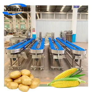 Food processing machinery Fresh corn weight sorting machine potato sorting machine