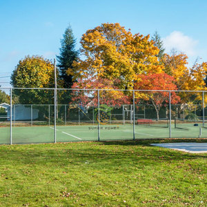 <span class=keywords><strong>Cage</strong></span> professionnelle multifonctionnelle de terrain de football de <span class=keywords><strong>taille</strong></span> personnalisée pour terrain de Panna <span class=keywords><strong>Cage</strong></span> de terrain de football avec toit - Product Image 4