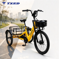 TXED Smart Fleet 4G IoT Verrou de frein électronique 36V 250W Moteur 13Ah Batterie Tricycle électrique partagé pour opérateurs de location