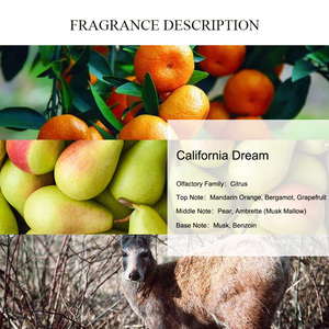 AROMA ÚNICO California Dream Perfume Oil Fresh Citrus Fragancia Materia prima Aceite Perfume Marca Mujeres y Hombres Fragancia Aceites - Product Image 2