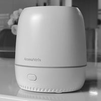 Coloré Led Veilleuse Mini Portable Usb Cool Brume Parfum Huile Essentielle Air Parfum Humidificateur Aroma Diffuseur