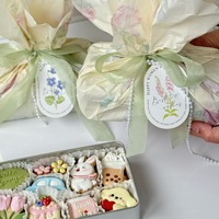Boîte Cadeau de Biscuits au Beurre Saveur Fruits et Légumes Sucrés Énergie Quotidienne Printanière pour le Festival du Printemps