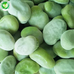 Wholesale Grade Best Organic Frozen Peeled Broad Bean