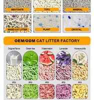 Sacs d'emballage OEM personnalisés de haute qualité pour litière pour chat en tofu au charbon de bois biodégradable