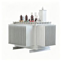 Transformateur de distribution triphasé immergé dans l'huile pour usage agricole et parcs industriels, 30 kVA, 63 kVA, 80 kVA, 125 kVA, 6 kV, 10 kV