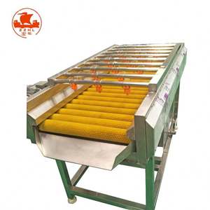 Machine à laver les légumes et les fruits, à éliminer les impuretés et à polir, avec moteur et composants en acier inoxydable - Product Image 1