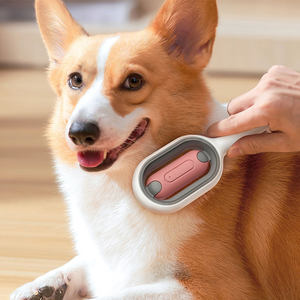 ลูกกลิ้งกำจัดขนพร้อมถังเก็บน้ำแปรงกำจัดขนสำหรับสุนัขแมว - Product Image 1