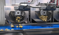 Automatische friteuse voor aardappelchips, capaciteit 500 kg/uur, turnkey oplossing voor de productie van aardappelchips en chips.