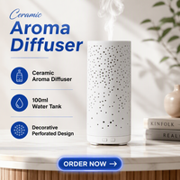 Diffuseur d'arômes cylindrique en céramique blanche, réservoir d'eau de 100 ml, coque décorative perforée, pour la maison, le bureau, la vente en gros en usine