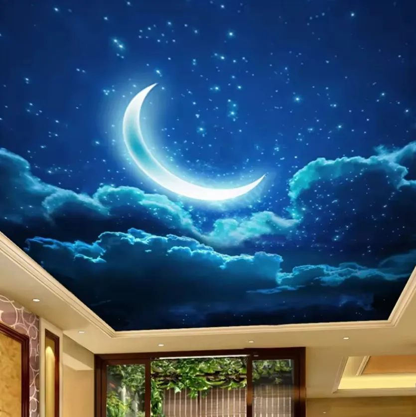 壁画3D月星空壁紙風景フレスコリビングルームベッドルームホテル天井壁画