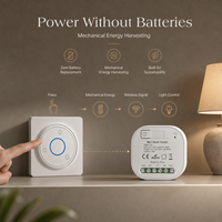 Interrupteur mural sans fil WiFi Intellect, télécommande pour éclairage domestique, 1 voie, IP44, étanche, matériau ABS PC, 16A, Zigbee, 110-250V