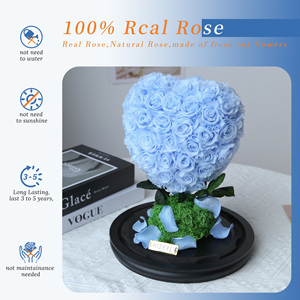 Nuevo Producto, Regalos Naturales para el Día de San Valentín, <span class=keywords><strong>Rosa</strong></span> en Forma de Corazón en Cúpula de Cristal, Caja de <span class=keywords><strong>Rosa</strong></span> <span class=keywords><strong>Eterna</strong></span>, Rosas Secas Personalizables en Cúpula, Regalo - Product Image 2