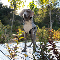 Veste pour chien et chat grande taille personnalisée VPETBR, luxe moderne, printemps été, imperméable, coupe-vent, fibre réfléchissante, manteau pour animaux de compagnie d'extérieur