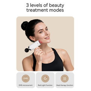 고품질 <span class=keywords><strong>EMS</strong></span> 적색광 열 미니 딥 티슈 진동 마사지건 휴대용 전기 근막 마사지기 - Product Image 4