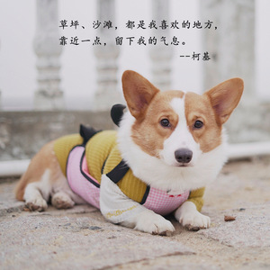 Protector ajustable para el vientre de perros Corgi, ropa cálida para perros pequeños y medianos, para todas las estaciones - Product Image 1