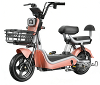 Kotak Baterai Portabel 48V 350W Pengontrol Cerdas Sepeda Listrik 3 Kecepatan Pabrik Cina Sepeda Listrik Dewasa Murah Ebike