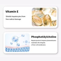 Comprimés pour la Santé du Foie et de la Vésicule Biliaire pour Chiens et Chats – Supplément 3-en-1 pour la Réparation Hépatique, Soulagement de l'Hépatite et de la Jaunisse, Soin des Calculs Biliaires