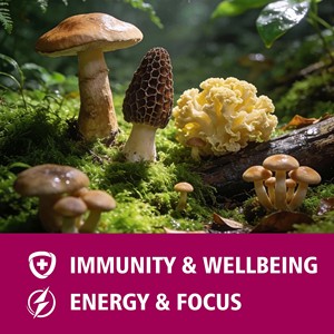 Hot seller Mushroom Coffee 3500mg Mushroom <b>Blend</b> 10:1 Extract Per Serving Easy Way to Support Immunity Energy & Focus - Product Image 5