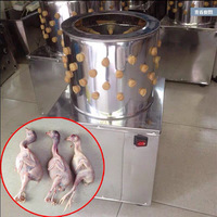 Usine en gros poulet plumeuse avec roues de transport volaille ferme poulet plumeuse machine 5 équipement poulet plume