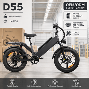 Bicicleta Eléctrica de Carga D55 750W 48V 55Ah con Batería Grande, Bicicleta Eléctrica de Reparto Personalizada OEM para Flotas de Mensajería - Product Image 1