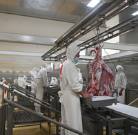 Ligne de convoyage industrielle intelligente pour abattoir avec suivi des données et traitement automatisé