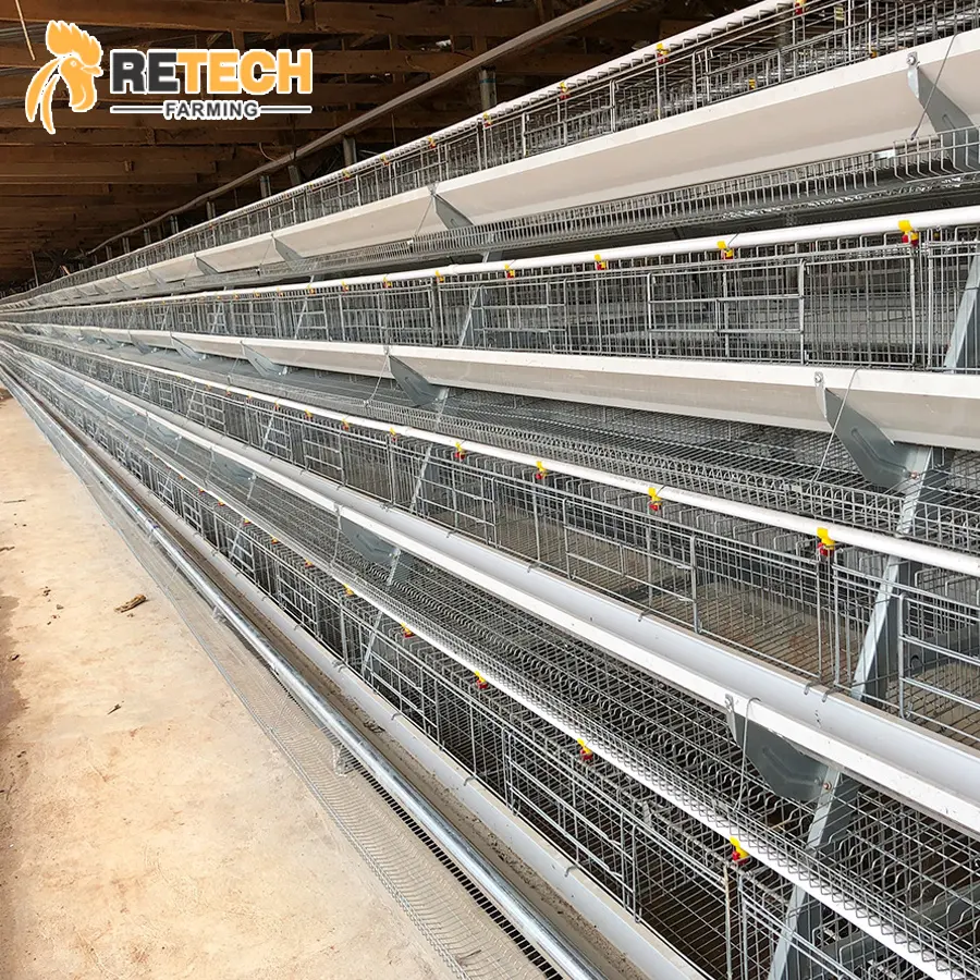 Philippinen Galvani zed Layer Chicken Cages Produkte Pläne für 5000 Vögel