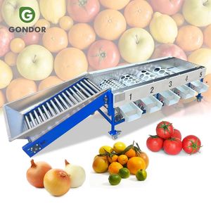 Machine de calibrage et de tri de fruits, légumes, oignons, avocats, pommes, prunes, cerises, tomates et de nettoyage - Product Image 1
