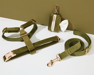 ชุดสายจูงสุนัขและสายจูงสีเขียวทหารชุดสายจูงสุนัขแบบปรับแต่งได้ + ปลอกคอ + หูกระต่าย + ที่ใส่ถุงอุจจาระไม่ดึงสายรัดสำหรับงานแต่งงาน - Product Image 5