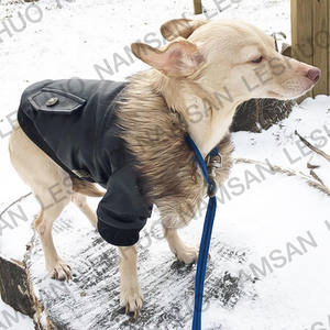 Manteau d'hiver pour chien-imperméable pour petits chiens - Product Image 4
