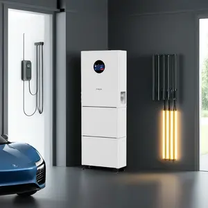 5kwh 10kwh 12kwh Sistema de almacenamiento de energía solar Powerwall Hybrid Grid 51,2 V 48V 100ah Lifepo4 Baterías de iones de litio