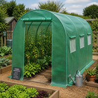 Serre de jardin mini-tunnel en film PE à faible coût, fournie par un fournisseur chinois, serre accessible à l'entrée