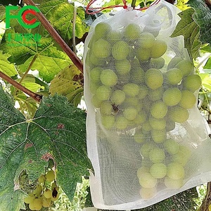 자외선 저항 흰색 졸라매는 끈 과일 보호 가방 포도 커버 메쉬 가방 - Product Image 1
