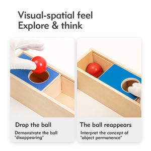 Giocattoli Educativi Montessori in Legno per Bambini 1-3 Anni, Scatola con Sfera Scorrevole, Gioco di Permanenza dell'Oggetto - Product Image 4