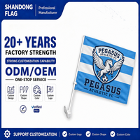 Drapeau de fenêtre de voiture personnalisé avec logo de club, mât en plastique, polyester durable et écologique, drapeau national, design personnalisé, événement sportif