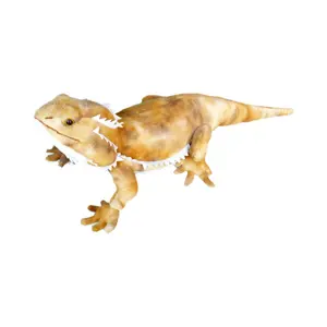 Plush Toy Pogo The Bearded Dragon Lizard Stuffed Animal OEM Custom Wild 21" Custom Package Guangdong Unisex Custom Sizes 500pcs