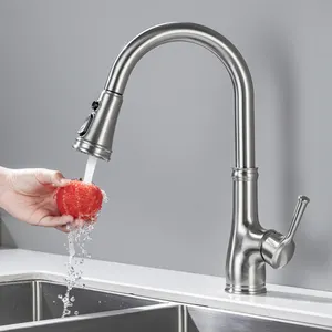 Explosire मॉडल बेच रसोई थर्मास्टाटिक Faucets बुनियादी आधुनिक उबलते पानी के नल रसोई Faucets