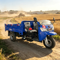 Tuk-tuk diesel à trois roues, camion benne lourd 25 CV 3000 kg, moteur refroidi par eau pour usage agricole et minier