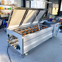Fruit- en groentewas-, schil- en reinigingsmachine van roestvrij staal met borstelrol, hoge efficiëntie, voor wortelen, gember en aardappelen